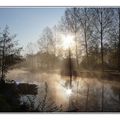 Brume matinale sur la Sèvre Niortaise