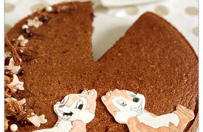 Gâteau magique au chocolat - gâteau Tic et Tac - 
