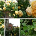 Et le jardin ?