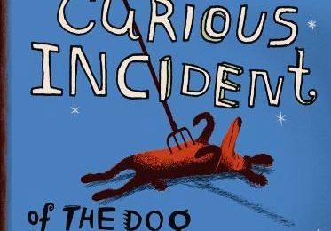 Mark Haddon - The curious incident of the dog in the night-time