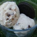 GLACE NOIX DE COCO ET PEPITES DE CHOCOLAT