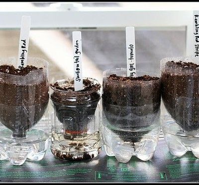 Pour vos Futurs semis