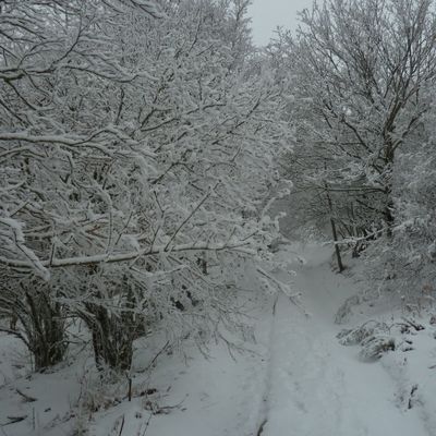 Raquettes dans la Montagne noire