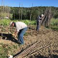 Les plantations 2021 ont commencé sur la parcelle commune !