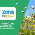 Projet "zone de Bzzz"