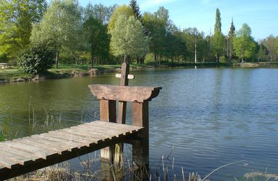 La Sologne s'éveille paisiblement avec le printemps