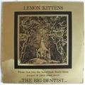 Lemon Kittens, The Big Dentist, Illuminated Rcds, LP, 1981