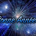 Belle et heureuse année 2025 !