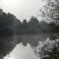 Le tour des étangs du Rheu (Ille-et-Vilaine) le 1er novembre 2016 (5)