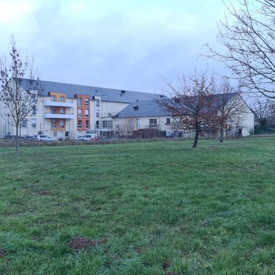 Tout vient à point à qui sait attendre !