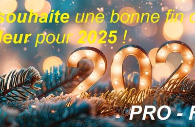 Au revoir 2024...