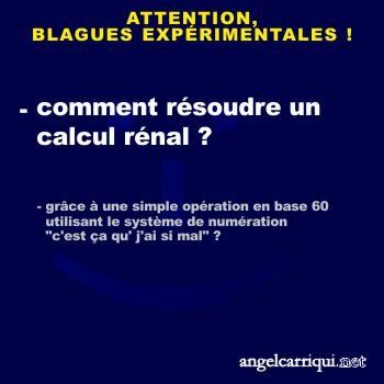 aidez la recherche fondamentale pour le développement des blagues du futur (19) …