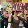 Tribunal Monsanto : la société civile se saisit des crimes contre la nature