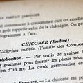 Crénoline ...affaire à suivre sur des mois ...