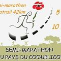 MARATHON DES COQUELICOTS...