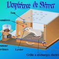 Le système éducatif, machine à conditionner.