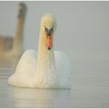 Au détour d'une partie de pêche une rencontre sympathique !