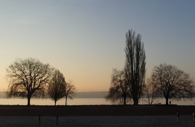un matin d'hiver au bord du lac 