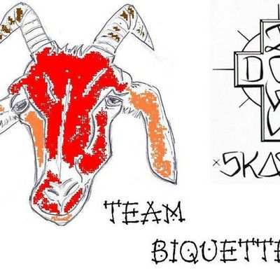 LOGO DE LA TEAM BIQUETTE