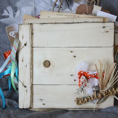 mini album "tendresse"