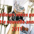 Bonne année 2011 ...