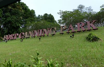 BALADE AU POUMON VERT DE SINGAPOUR = LE PARC DE FORT CANNING 