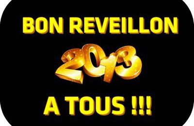 bonne année 2013 a vous tous.....