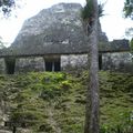 Tikal et ses pyramides