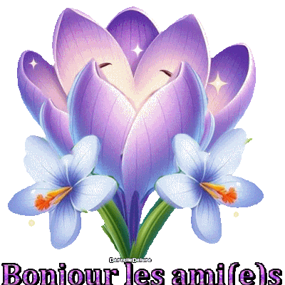 échange ATC brodées de février 