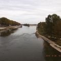 Loire verte sombre