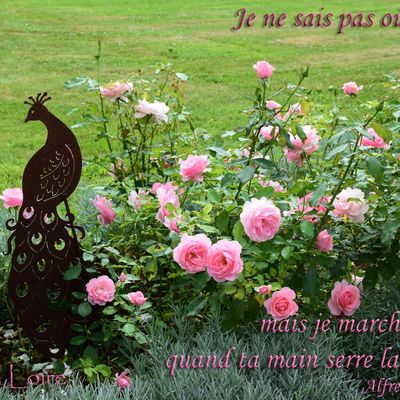 je ne sais pas où je vais.