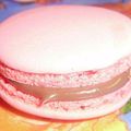 MACARON