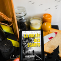 [ AVIS LECTURE ] La vallée des égarés de Céline Servat