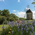 Moulin des 3 moulins - Beaugas