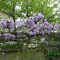 Le bouquet du vendredi avancé au jeudi