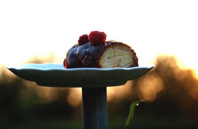 Fondant aux Pommes des champs et Pêches de vignes