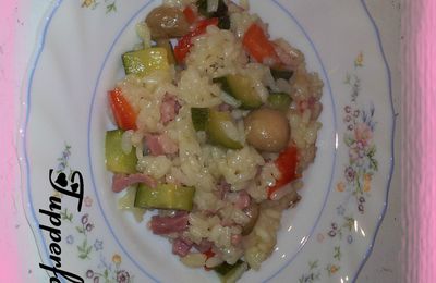 RISOTTO CREMEUX AUX LEGUMES (MICRO PLUS)