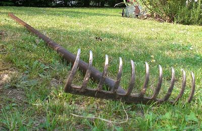 Le jardin n'est pas sans danger pour nos enfants…