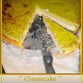 Invention "cheesecake" polenta-bettes