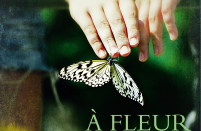 A fleur de peau - Jodi Picoult - Michel Lafon Poche