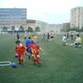 Affluence record chez les débutants. Ils sont