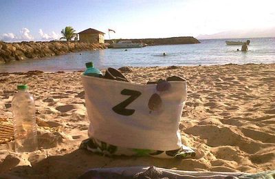 Zlage, le sac de plage, by Z a n d o! 