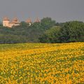 Château de Laréole (31)