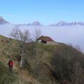 13 - Pointe de la Galoppaz - Bauges - Novembre 2008