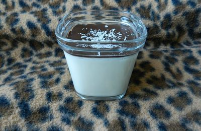 yaourts au lait de coco § au chocolat (façon Bounty®)
