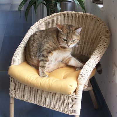 Chacun fait son lit...