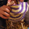 La femme qui murmurait à l'oreille des poules