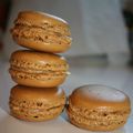 le macaron de l'ourson