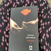 Profanes de Jeanne Benameur - éditions Babel - Après avoir lu