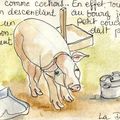 La Désirade , copains comme cochons